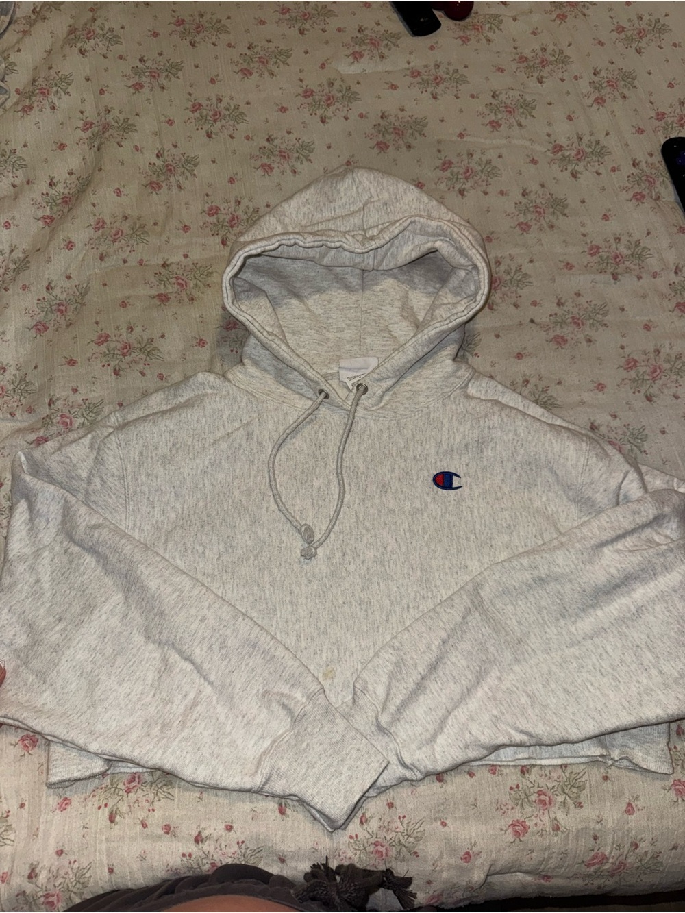 Champion Reverse Weave Light Gray Hoodie with Embroidered Logo